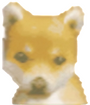 shiba inu r$ 2842